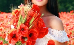 免费观看激烈日板子